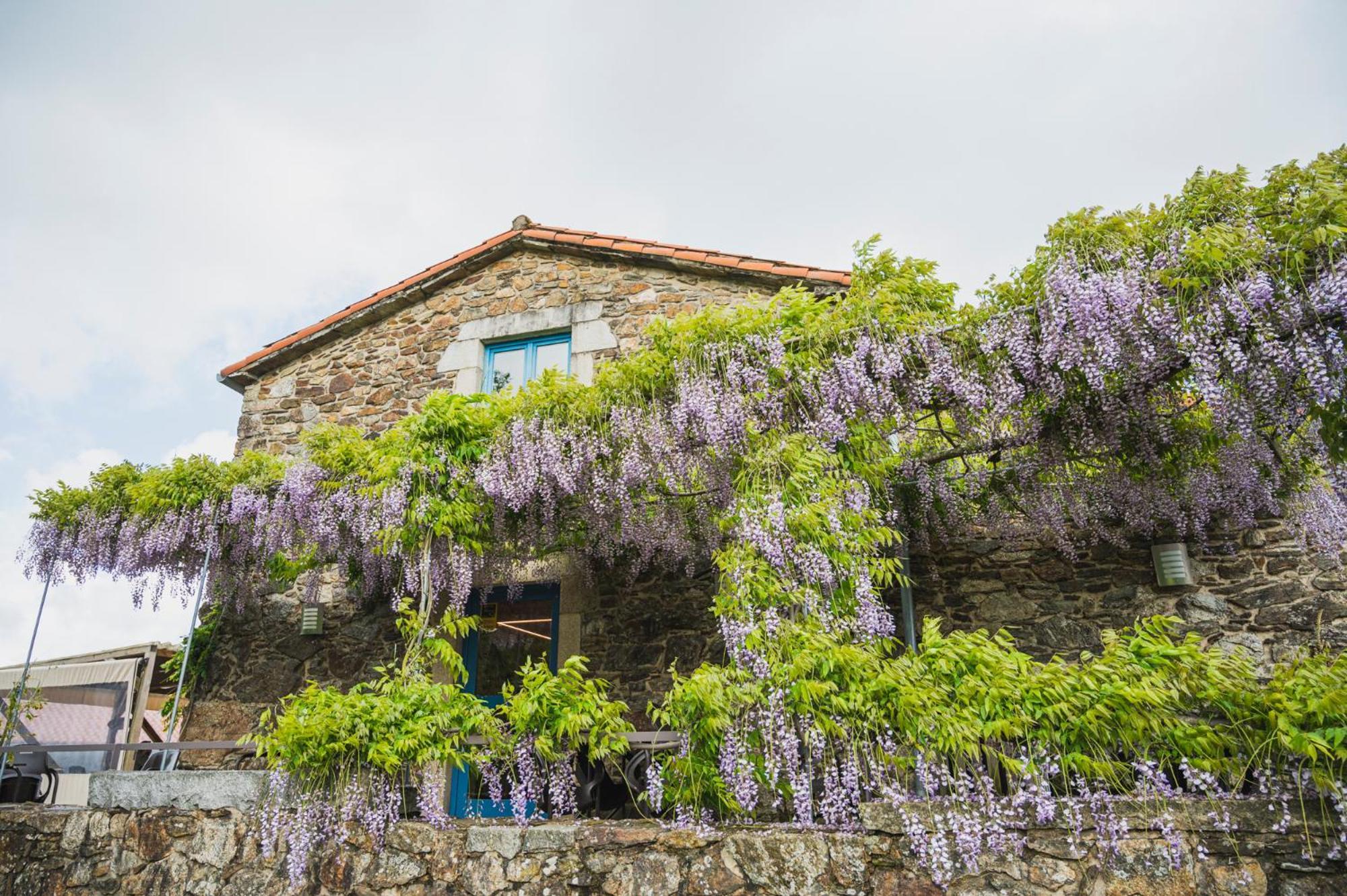 Casa De Amancio Hotel Lavacolla Buitenkant foto